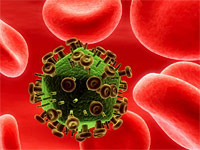 Virus del VIH causante del SIDA entre células sanguíneas