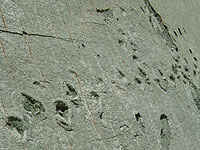 Huellas de dinosaurio cerca de Sucre. Fuente: Yatlik.com