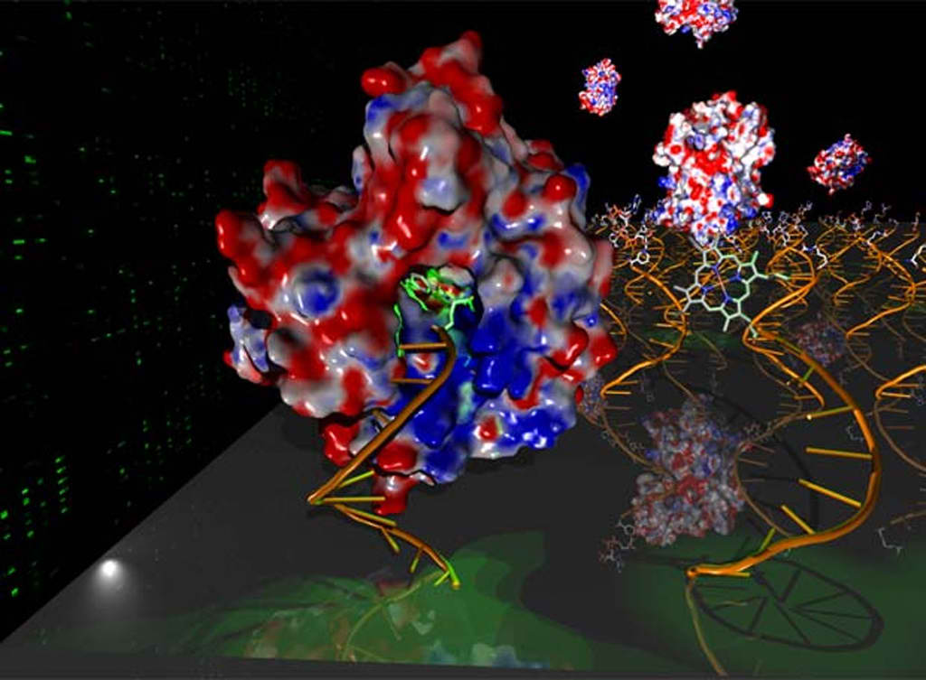 Representaci�n del funcionamiento del chip metab�lico, que detecta redes bioqu�micas complejas de sistemas celulares.