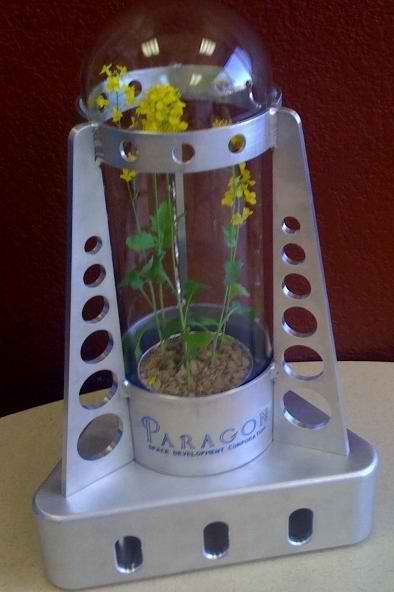 Invernadero prototipo para plantas en la Luna