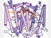 NSF News