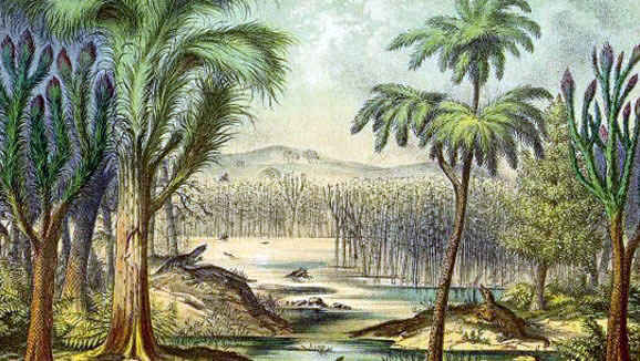 Plantas del periodo carbon�fero, muy diferentes de las actuales