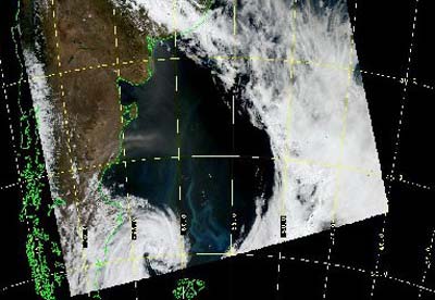 Imagen satelital que muestra una tormenta patag�nica de polvo
 Foto: Gentileza Santiago Gasso