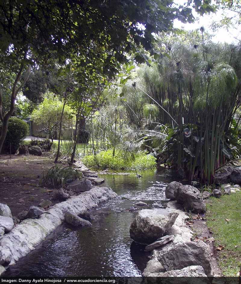 Hoy 22 de abril se celebra el D�a de la Tierra. Esta imagen corresponde a un paisaje artificialmente creado en pleno centro de Quito, caracterizado por el tr�fico y el ruido.