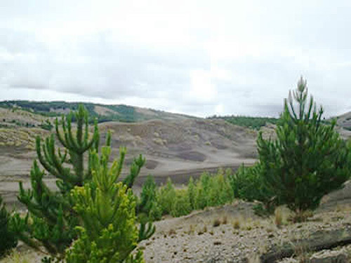 Desierto de Palmira en los p�ramos de Tix�n, Ecuador. Foto: Adriana Carrera 