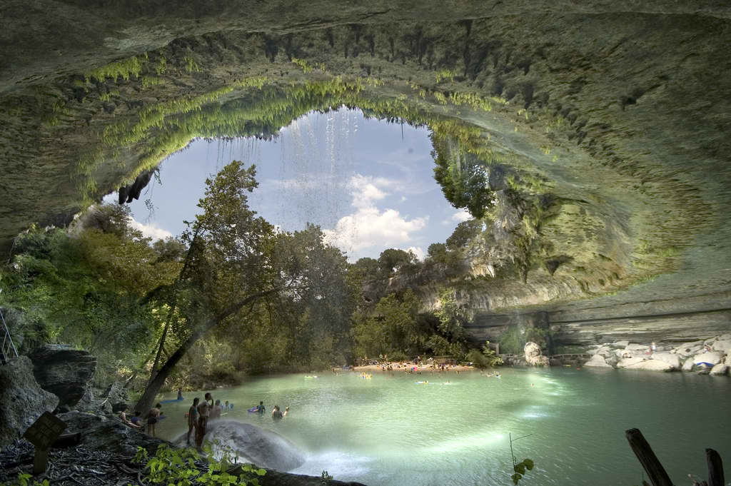 En Hamilton Pool, cerca de Austin Texas, EEUU, se pueden apreciar varias especies de anfibios, peces y reptiles como tortugas adem�s de diferentes especies de flora inclu�das las orqu�deas y especies del g�nero Persea emparentadas con el laurel