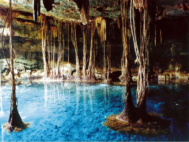 Cenote en la pen�nsula de Yucat�n M�xico