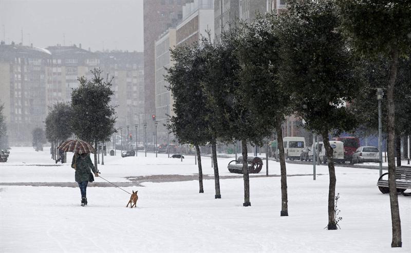 Una mujer saca a su perro durante la fuerte nevada ca�da en el barrio de Salburua de Vitoria. Foto: Adri�n Ruiz de Hierro