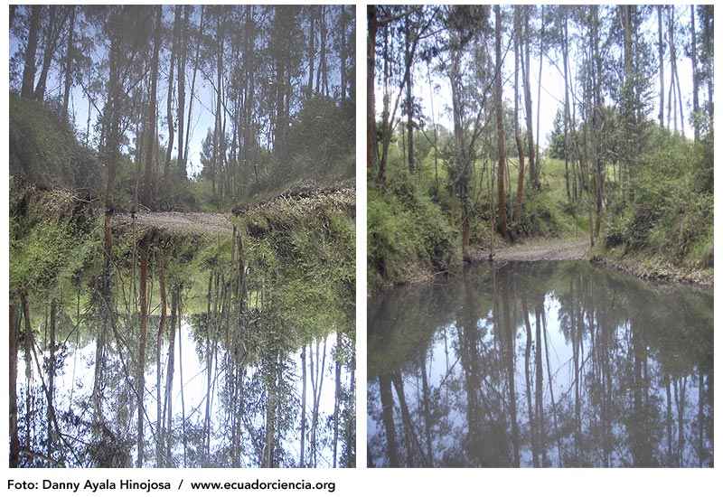 La imagen real es la versi�n de la derecha, lo que parece un camino en la imagen izquierda en realidad es el cauce seco del riachuelo que alimenta a la laguna.