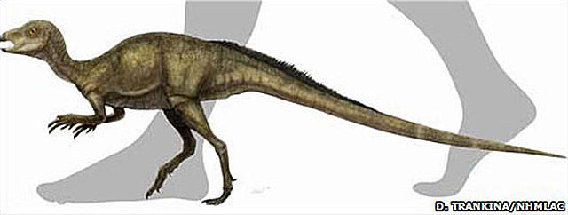 El dinosaurio m�s peque�o que se haya descubierto en Norteam�rica fue hallado por Chiappe y un equipo internacional, lo nombraron Fruitadens haagarorum