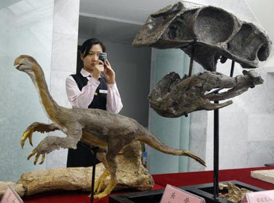 Comparaci�n del cr�neo Gigantoraptor erlianensis con un dinosaurio de su misma familia de menor tama�o