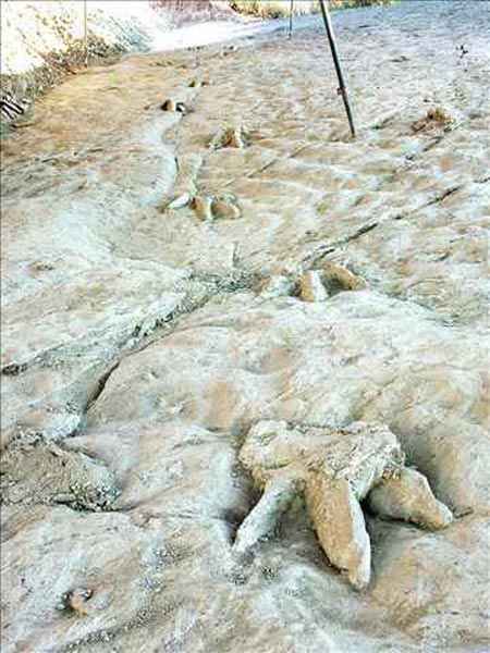 El monogr�fico de Zub�a sobre Huellas de dinosaurio en La Rioja constata el enorme potencial en cuanto al n�mero de icnitas que a�n quedan por descubrir