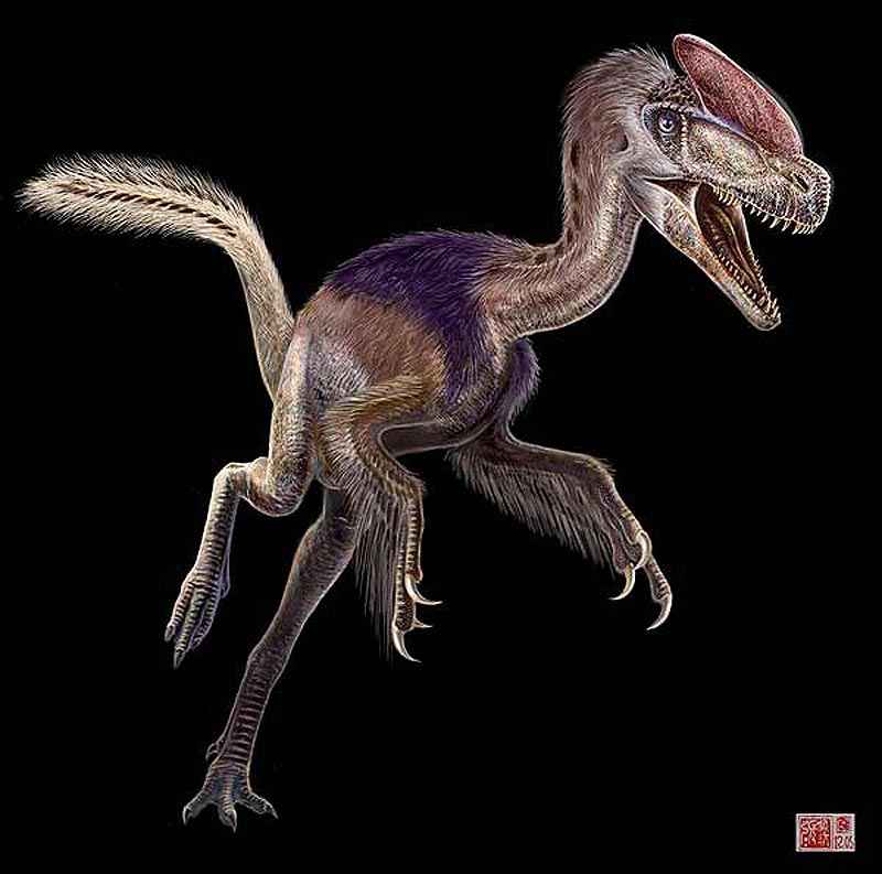 Guanlong wucaii, ter�podo carn�voro y b�pedo, vivi� durante los �ltimos tiempos del periodo jur�sico, hace entre 156 y 161 millones de a�os.