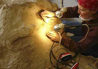 Los cient�ficos utilizaron un esc�ner gigante para crear una imagen en tres dimensiones del interior del cuerpo y de la cola del f�sil