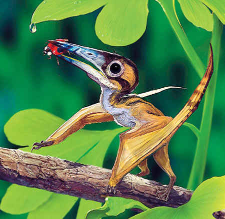 Reconstrucci�n del peque�o reptil volador insectivoro Nemicolopterus crypticus.