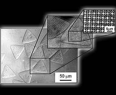 Resultados de la t�cnica para crear micropart�culas con textura granular. Mostrados aqu� en tres escalas. Imagen Patrick Doyle y Edwin Thomas, MIT.