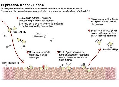 El proceso Haber-Bosch. Gr�fico: El Pa�s