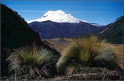 P�ramos del volc�n Antisana, este estratovolc�n ha crecido sobre el borde de una caldera anterior, la mayor parte de sus erupciones hist�ricas han sido de tipo fisura sin crear nuevos conos o domos de lava.
