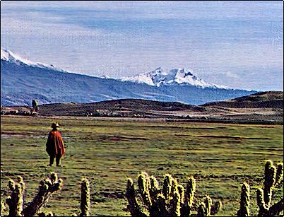 Desde la regi�n de Colta cerca de Riobamba, se puede apreciar paisajes como estos donde ambos volcanes pueden verse cubiertos totalmente de nieve como en esta imagen.
