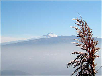 Tomado desde Quito el Cayambe se muestra sin nubes y radiante bajo el sol ecuatorial.
