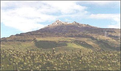 volc�n Chiles junto a un p�ramo de frailejones, la caldera de este volc�n no evidencia actividad alguna no obstante las aguas termales est�n presentes cerca en Aguas Hediondas y la poblaci�n de Tufi�o. Existen otros volcanes poco conocidos en esta parte del pa�s.
