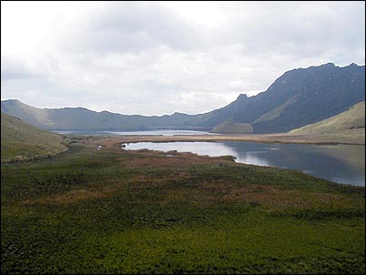 En esta foto se puede apreciar en primer plano la laguna de Huarmicocha y en segundo plano la de Caricocha. La extensi�n de terreno visible en primer plano debi� ser en otros tiempos parte de la laguna de Huarmicocha hoy siendo pantanos de carrizales.
