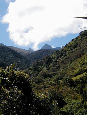 Rodeados por una parte por la espesura del bosque y por otro lado por los fr�os pajonales se elevan las cumbres del Pasochoa que delimitan la caldera. Las imperfecciones de las rocas forman lugares que usan las aves para anidar, se han visto c�ndores en la zona, esperamos verlos m�s seguros en este lugar.
