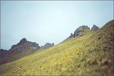 Vista exterior de la caldera del volc�n, como en todo p�ramo aqu� hace un fr�o tremendo, quienes quieran ascender al volc�n les sugiero que usen un veh�culo todo terreno el cual les puede dejar a solo unos metros del cr�ter.
