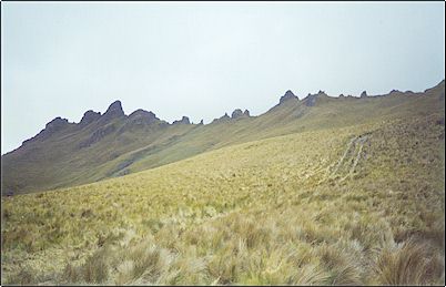 Vista exterior de la caldera del volc�n, en invierno el Puntas suele vestirse con una delgada capa de nieve, debido a las condiciones del camino es mejor visitarlo en verano adem�s porque desde aqu� se puede tener una vista apreciable del Cayambe y del Antisana.
