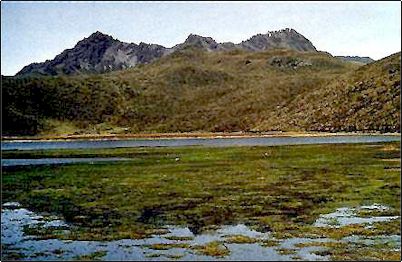 Laguna de Limpiopungo en primer plano y las tres principales cimas del Rumi�ahui atr�s, no es dif�cil de escalar por lo menos la cumbre central, en autom�vil se puede llegar bastante cerca para terminar el ascenso a pie.
