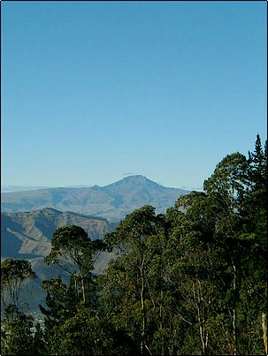 Fotograf�a del Sincholagua en verano, en el no ha quedado mas que una brizna de nieve. Admitamos que gran parte del actual calentamiento global se debe a la naturaleza, y evidencias que indican que antes de la �ltima glaciaci�n la sierra ecuatoriana gozaba de un clima tropical a juzgar por restos de bosques y sobre todo de nidos petrificados de escarabajos que solo viven en �reas muy calientes.
