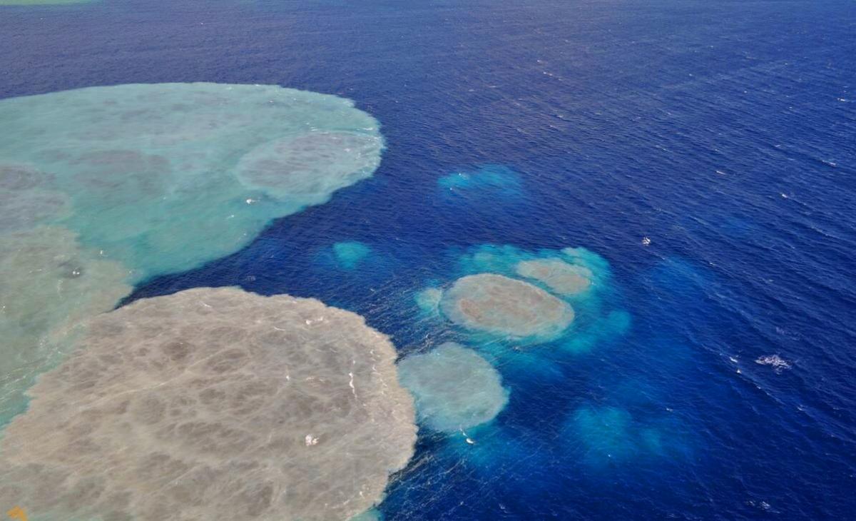 El 24 y 25 de noviembre se vio un cambio de coloraci�n de la mancha y aumento de la tonalidad caf� que corresponder�a a material m�s fino